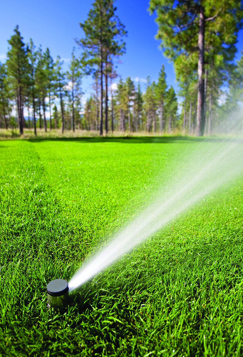 iStock_000023708832Large landscaping professionals