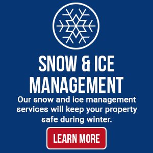 U.S. Lawns snow and ice management services