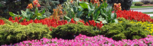 Hotel Gardening: Keep the Green In Your Lawn And Wallet