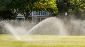irrigation system