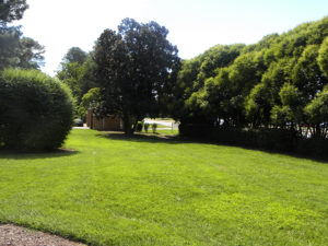 commercial lawn care services