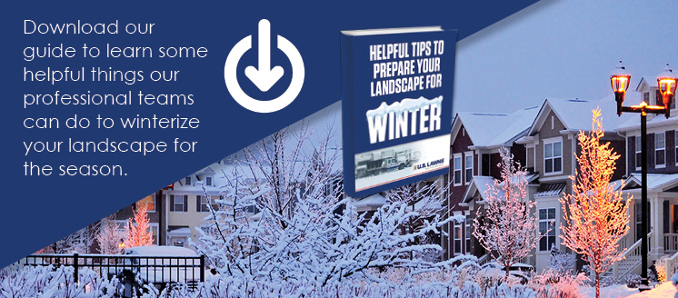 Download our guide to learn some helpful things our professional teams can do to winterize your landscape for the season.