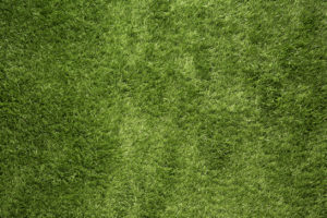 The Grass Doesn't Always Have to Be Greener on the Other Side: 3 Ways to Keep Your Lawns Green