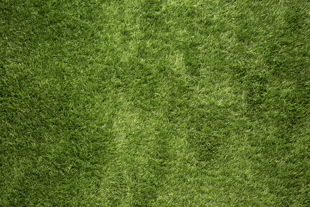 Commercial Lawn Care Keeps Grass Greener U.S. Lawns