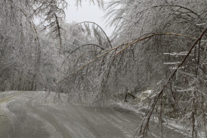 U.S. Lawns snow and ice management