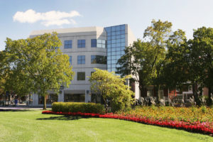 commercial landscaping