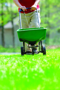 commercial landscaping services