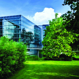 lawn maintenance services