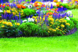commercial landscapers