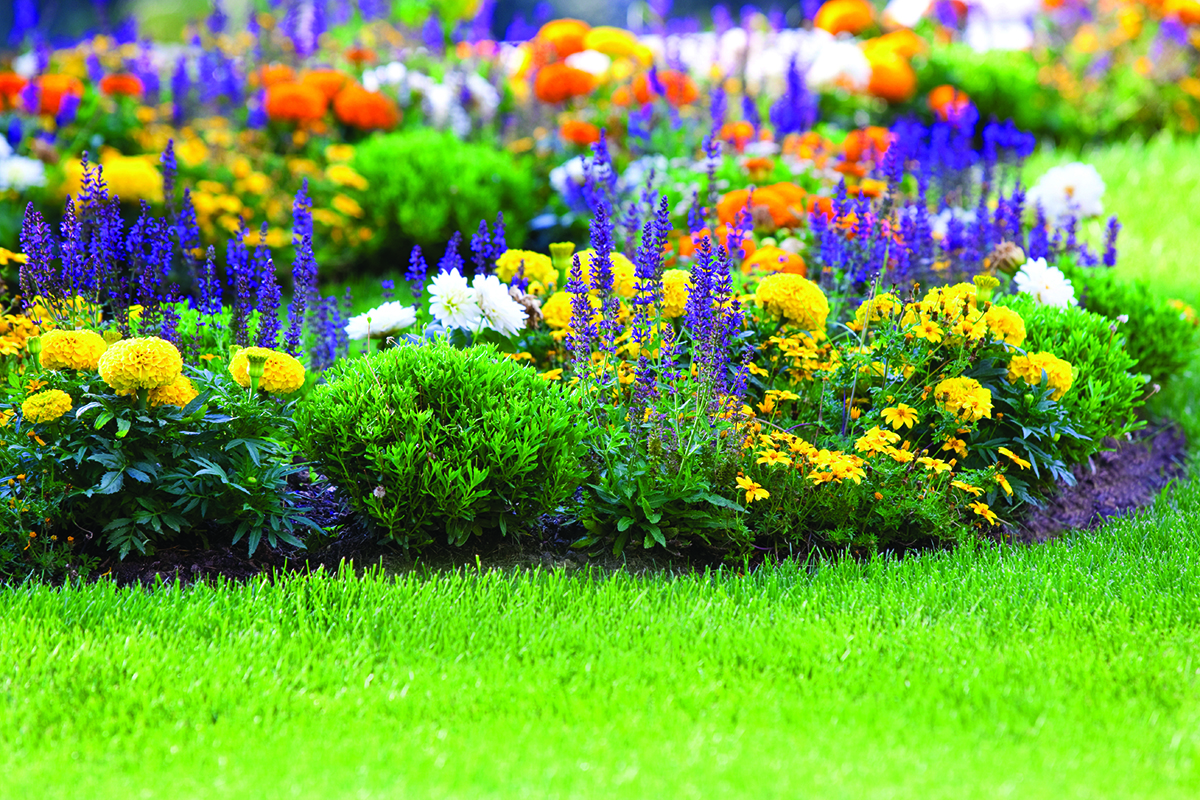 multicolored flowerbed on a lawn commercial landscapers