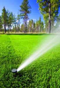 irrigation system
