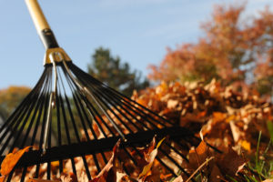 commercial grounds care