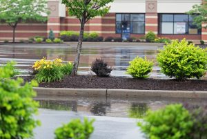 commercial landscaping services