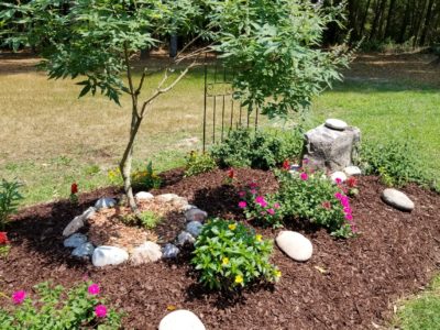 Why Ornamental Trees Need to Be Trimmed