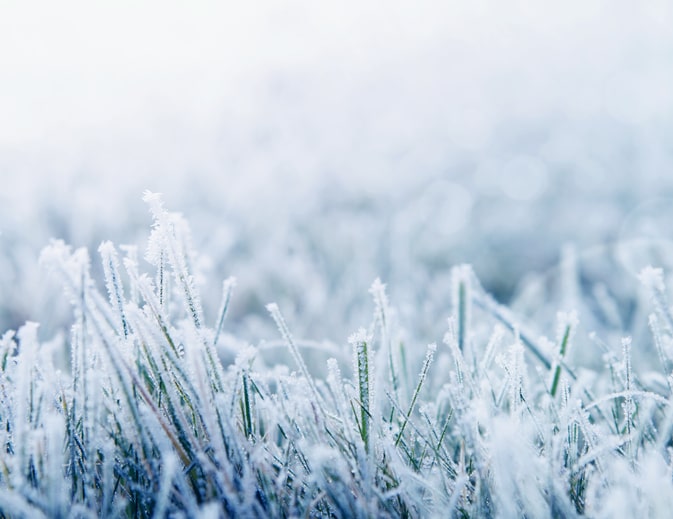 Winter Means Snow and Ice for Many of Us. Let U.S. Lawns Take the Stress Out of That