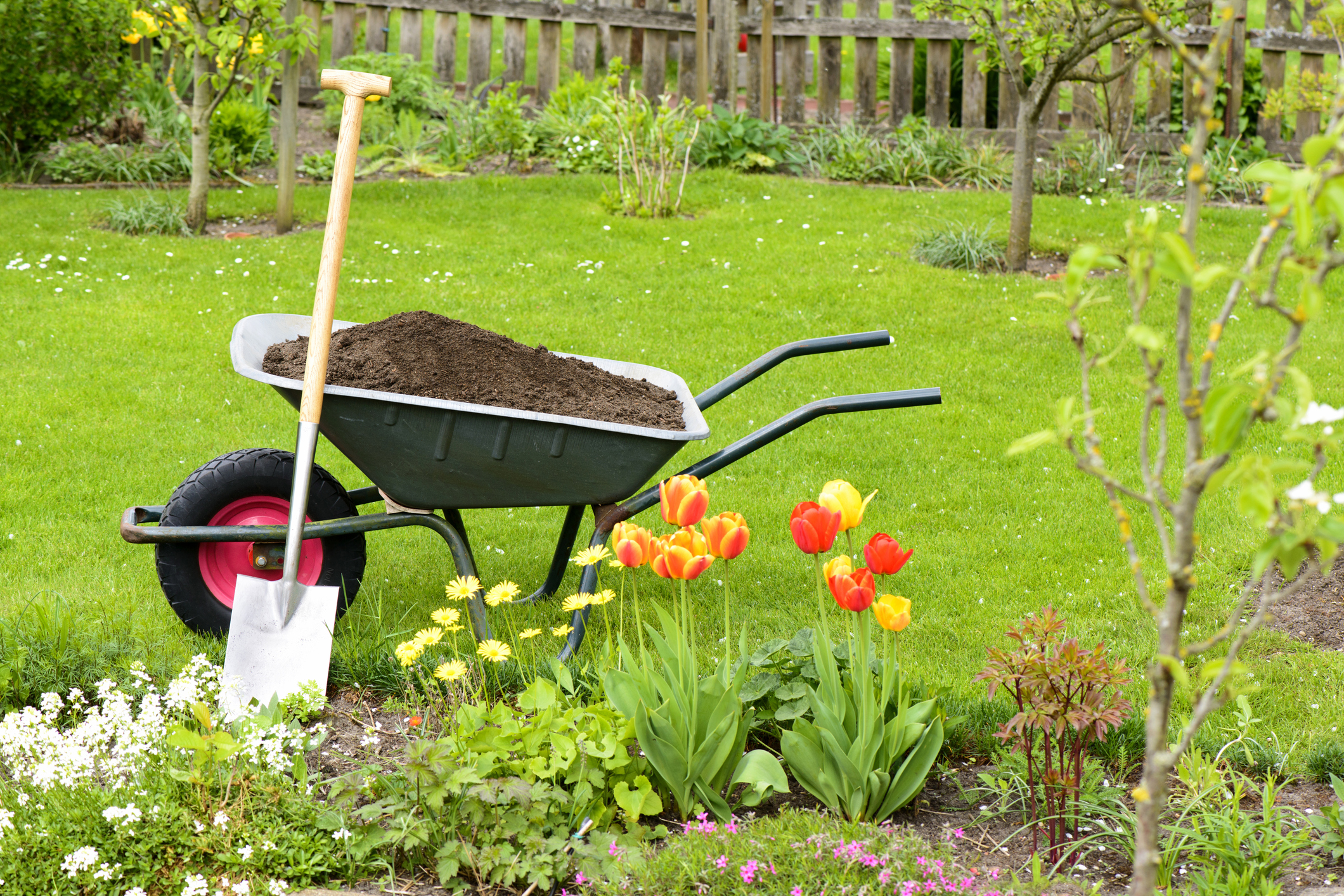 Why Adding Mulch Is an Important Landscape Improvement