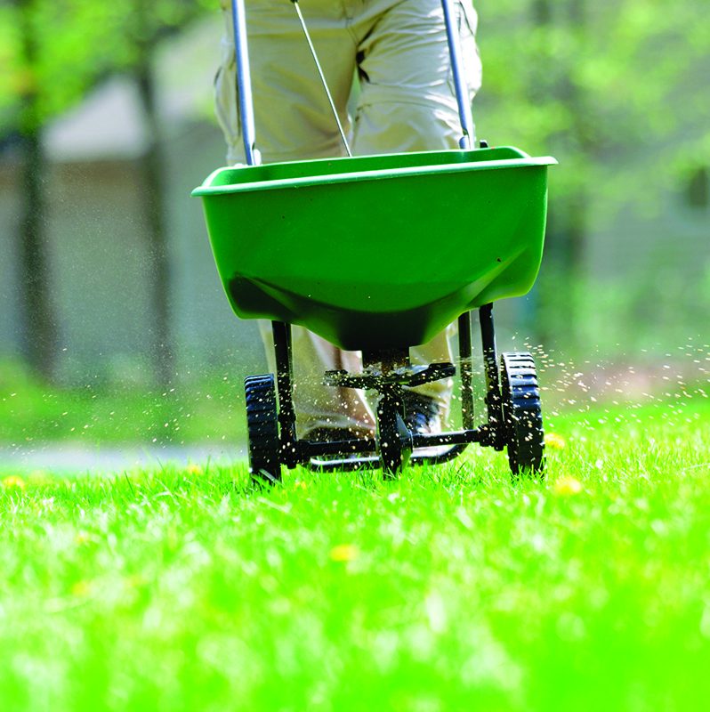 Commercial landscaping services