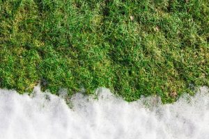 commercial landscape maintenance