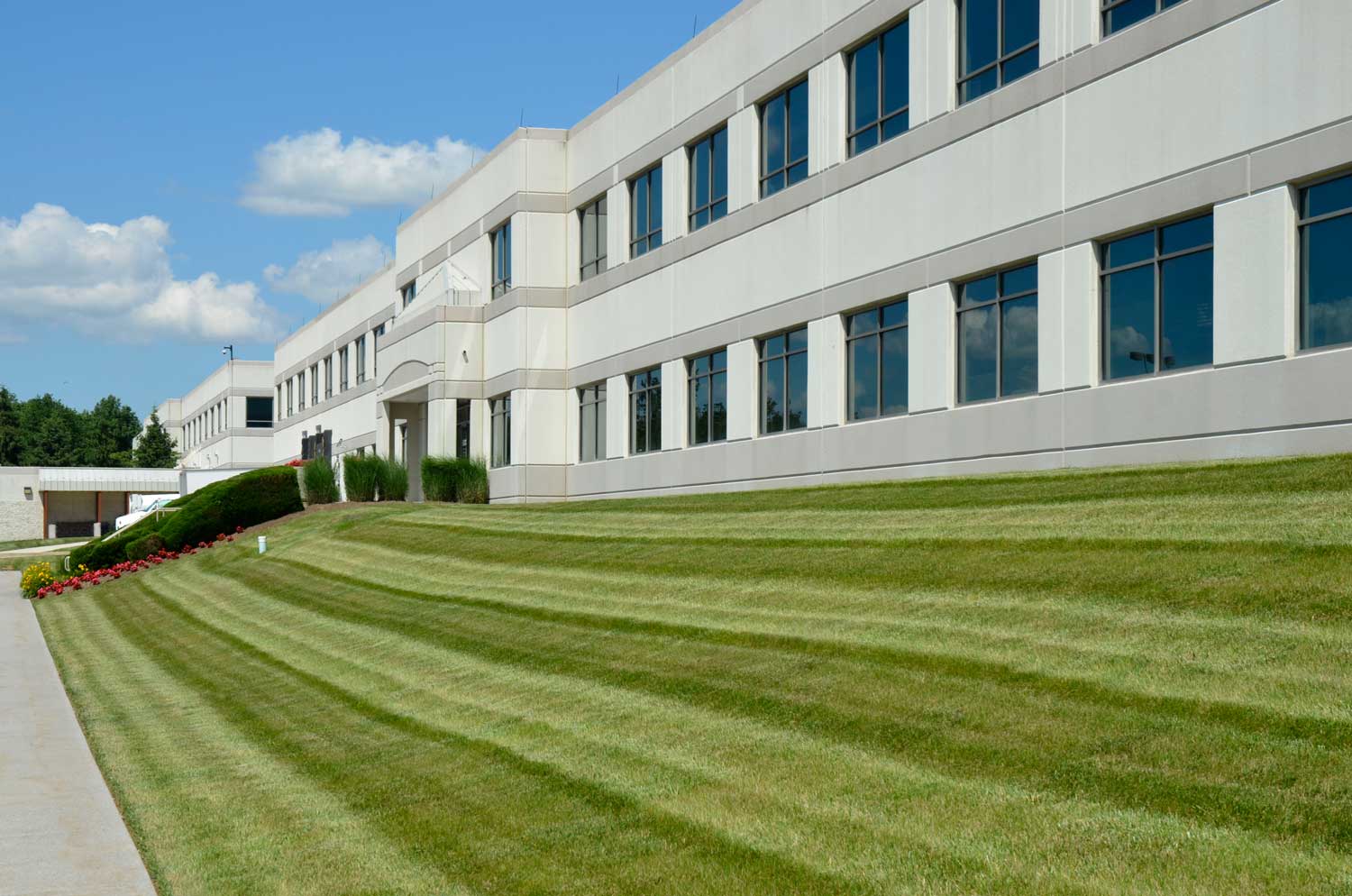 Commercial Landscape Maintenance to Improve Lawns