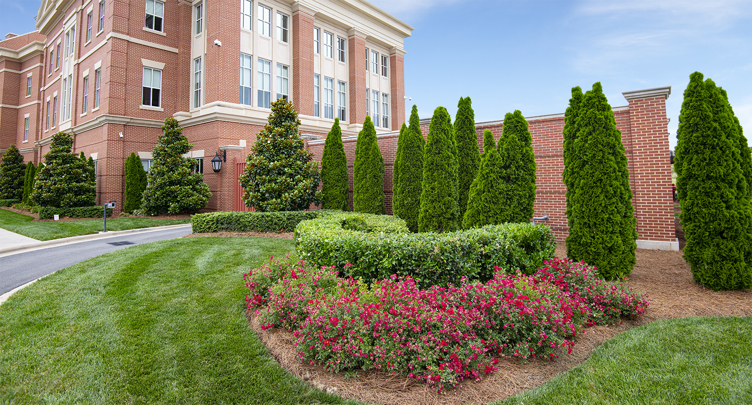 4 Creative Ideas: Going Beyond Commercial Landscaping Maintenance