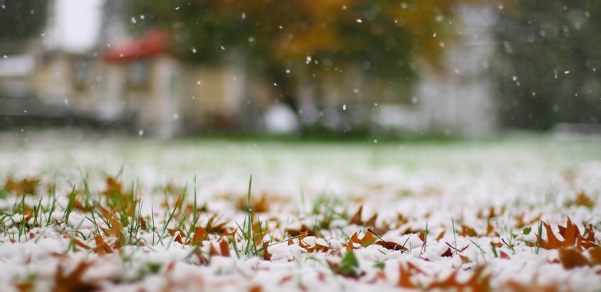It’s Never Too Early to Prepare Your Landscape for Winter