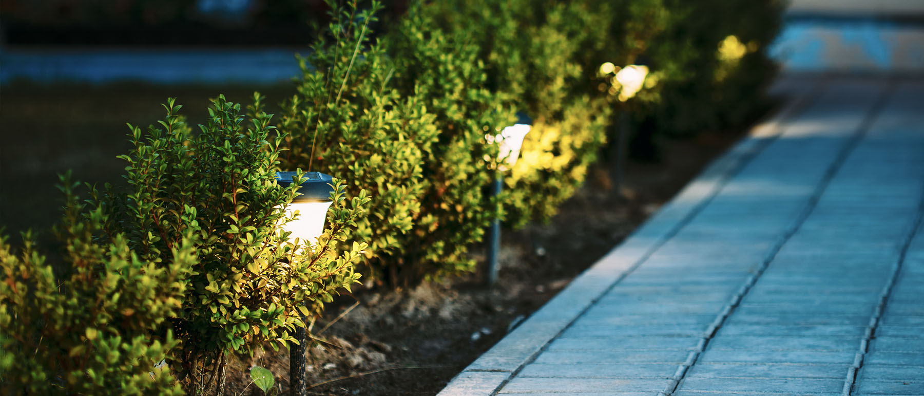 outdoor lighting for commercial landscapes