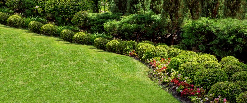 Well-maintained commercial landscape with neatly trimmed shrubs, curved planting bed, and lush green lawn bordered by colorful flowers.
