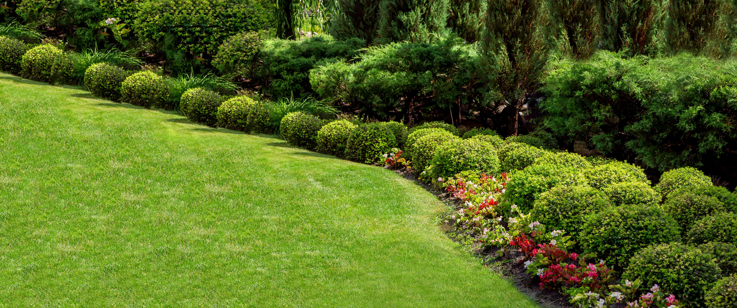 Landscaping Techniques to Improve the Lifespan of your Shrubs and Plants