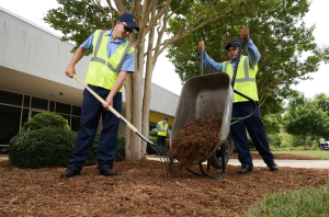 commercial fall cleanup checklist won't let you forget about mulching