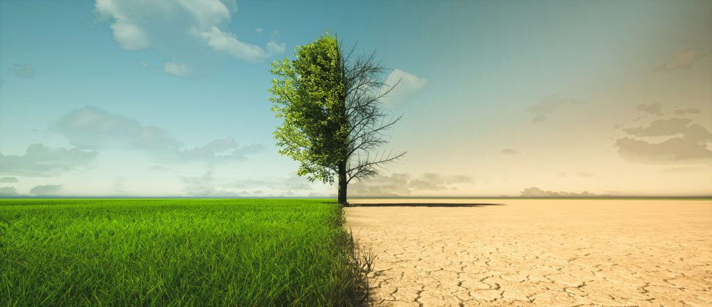 Image showcasing the benefits of sustainable landscaping
