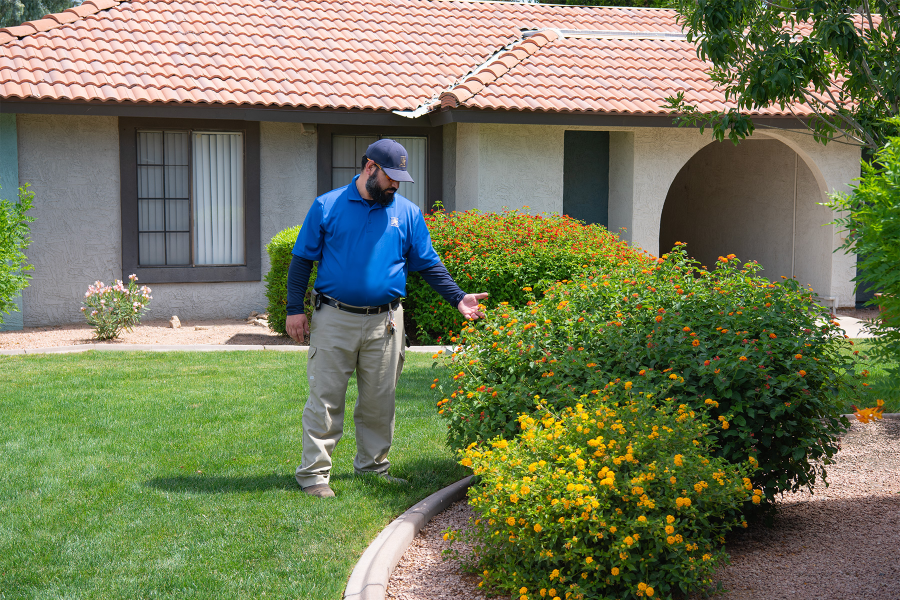 Commercial landscaper inspecting shrubs and lawn at a business property in the Phoenix metro area