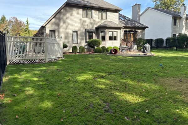 Patchy lawn before renovation and overseeding in Cleveland, Ohio