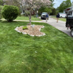 Manicured lawn with stone-bordered tree island bed in Cleveland, Ohio