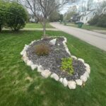 Stone-bordered tree mulch bed with healthy turf at a Cleveland, Ohio property