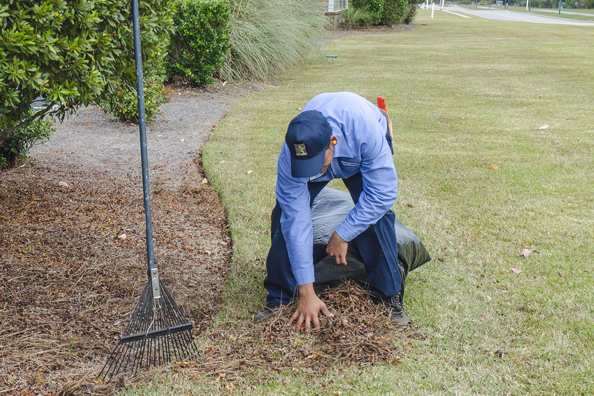 your-landscape-is-ready-for-fall-clean-up-services-u-s-lawns