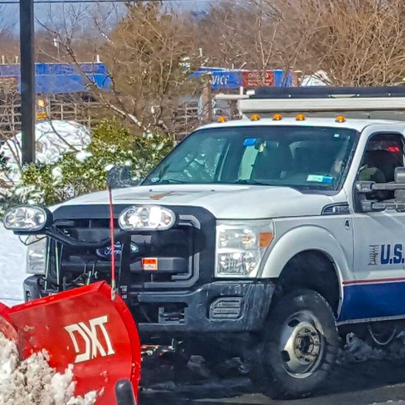 Services_Seasonal-Services_crop Services_Seasonal-Services_crop