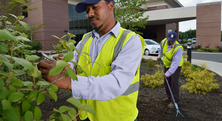 Commercial Landscaping Services In, Commercial Landscaping Services Lakewood Nj