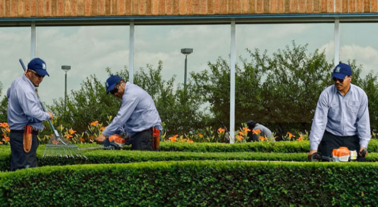 Commercial Landscaping Services In, Landscaping Companies In Wilmington Market